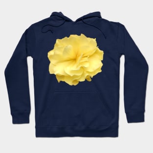 Yellow Double Begonia Close-up Hoodie